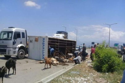 Adana'da küçükbaş hayvan taşıyan tır devrildi