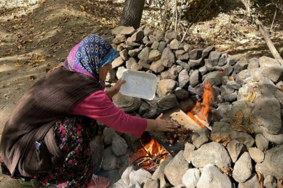 Isparta'da mahalle sakinlerinin "kestane toplama nöbeti" sürüyor