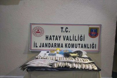 Hatay'da denizde dinamitle balık avlayan 3 kişiye 44 bin 580 lira ceza