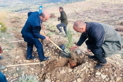 Adana, Mersin ve Hatay'ın ilçelerinde 24 Kasım Öğretmenler Günü kutlandı