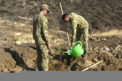 Akdeniz'de orman yangınından etkilenen alana 1600 fidan dikildi