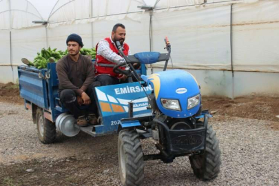 Hatay'da Türk Kızılayı serada 18 ton muz hasat etti