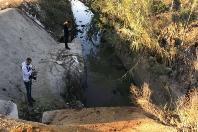 Adana'da çok sayıda eşek başı ve kemikleri bulundu