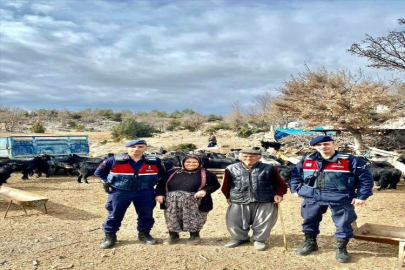 Mersin'de kaybolan küçükbaş hayvanları jandarma buldu