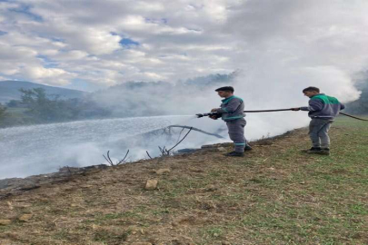 Kahramanmaraş'ta ağaçlandırma sahasında çıkan yangın söndürüldü