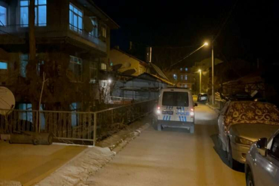 Isparta'da karbonmonoksitten zehirlenen anneanne ile torunu öldü