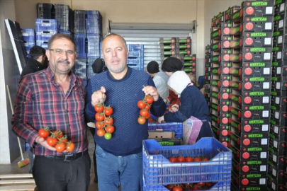 Demre'de üretimi yapılan sebzelerin ihracatı da gerçekleştiriliyor