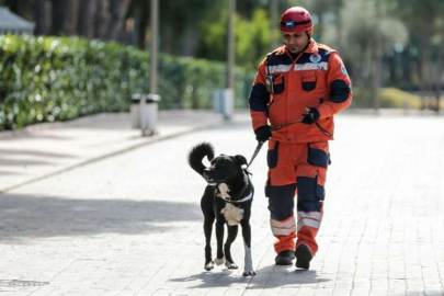 Enkazdan çıkarılan köpek kendisini sahiplenen ekiple hayat kurtaracak