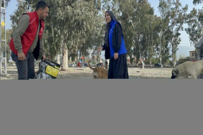 Depremler nedeniyle Hatay'a gönderilen mamalar sahipsiz hayvanlara ulaştırılıyor