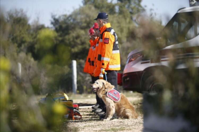 Arama kurtarma köpeği 