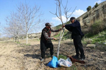 Kahramanmaraş'ta buğday tarlalarına yuvarlanan kayalar depremlerin etkisini gösteriyor