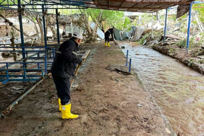 Midyat Belediyesi Beyazsu ve çevresindeki temizlik çalışmalarına devam ediyor