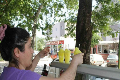 Limon, çilek ve kividen sonra lavanta dondurması üretimi de başladı