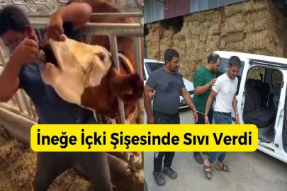 İneğe içki şişesinde sıvı veren şahıs yakalandı