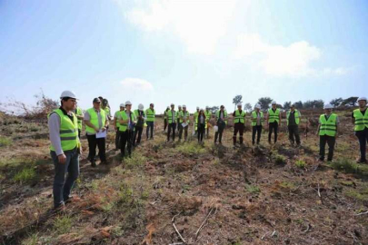 Denizli’de yeni ormanlar planlı olarak kuruluyor