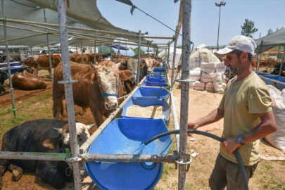 Kurban Bayramı'nda Kepez'de 9 mahallede kurban kesimi yapılacak