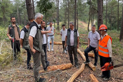 Orman Bölge Müdürü Yılmaz incelemelerde bulundu