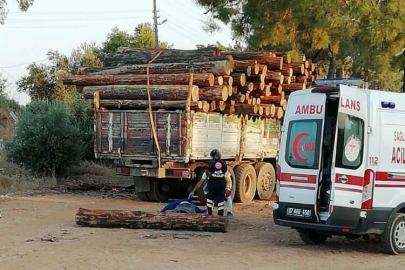 Üzerine tomruk düşen kişi hayatını kaybetti