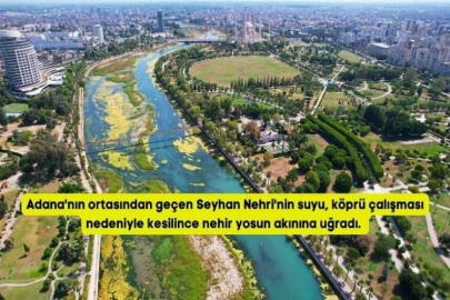 Seyhan Nehri can çekişiyor: Yosunlar nehri istila etti, otlar insan boyuna yaklaştı