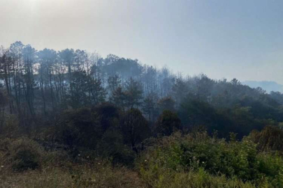 Beykoz’da iki farklı yerde orman yangını