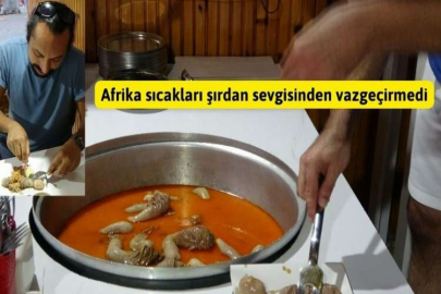 Afrika sıcakları şırdan sevgisinden vazgeçirmedi