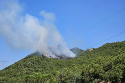 GÜNCELLEME - Antalya'nın Demre ilçesinde çıkan orman yangını kontrol altına alındı