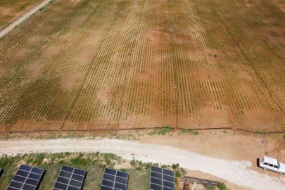 Adana’nın güneşini enerjiye dönüştürdü, üretimine destek sağladı