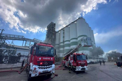 Kocaeli’de ağaçlık alanda çıkan yangında kundaklama iddiası