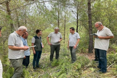 Yılmaz: Planlı Müdahale Başarı Getirir