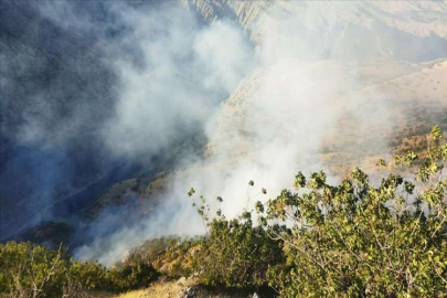 İzmir Urla'daki orman yangını kontrol altına alındı