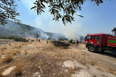 Kaş'ta zeytinlik alanda çıkan yangın söndürüldü