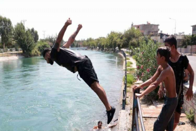 Ağabeylerinden izin alıp ölümüne serinliyorlar