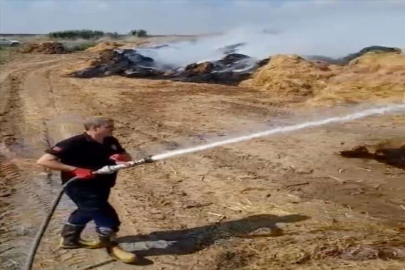 Adana'da tarla yangını