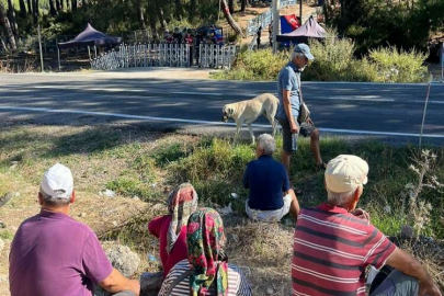 Akbelen'deki çevreci köylülerin kamp alanı boşaltıldı