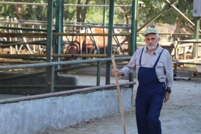 Devlet desteğiyle önce süt üretim çiftliğine, sonra düve merkezine sahip oldu