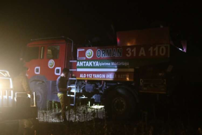 Hatay'da zeytinlik alanda çıkan yangın kontrol altına alındı