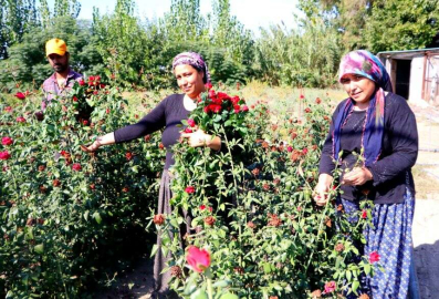 Bu sera hem işsiz kadınları istihdam ediyor hem de çocukların yüzünü güldürüyor