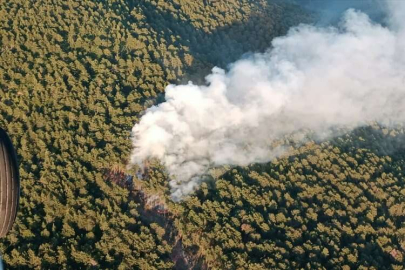 Hatay'da çıkan orman yangını kontrol altına alındı