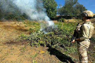 Diyarbakır'da yüzlerce kilo uyuşturucu ele geçirildi