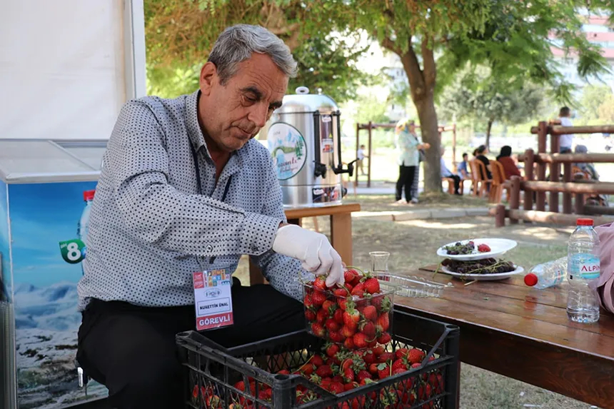 Pozantı'nın organik lezzetleri lezzet festivali'nde ilgi odağı oldu 3