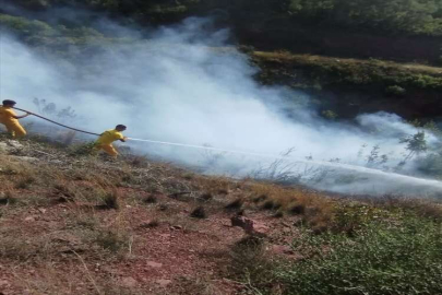 Osmaniye'de otluk alanda çıkan yangın söndürüldü