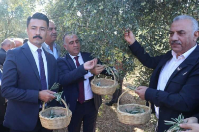 Hatay'da "7. Altınözü Zeytin, Zeytinyağı ve Gastronomi Festivali" düzenlendi