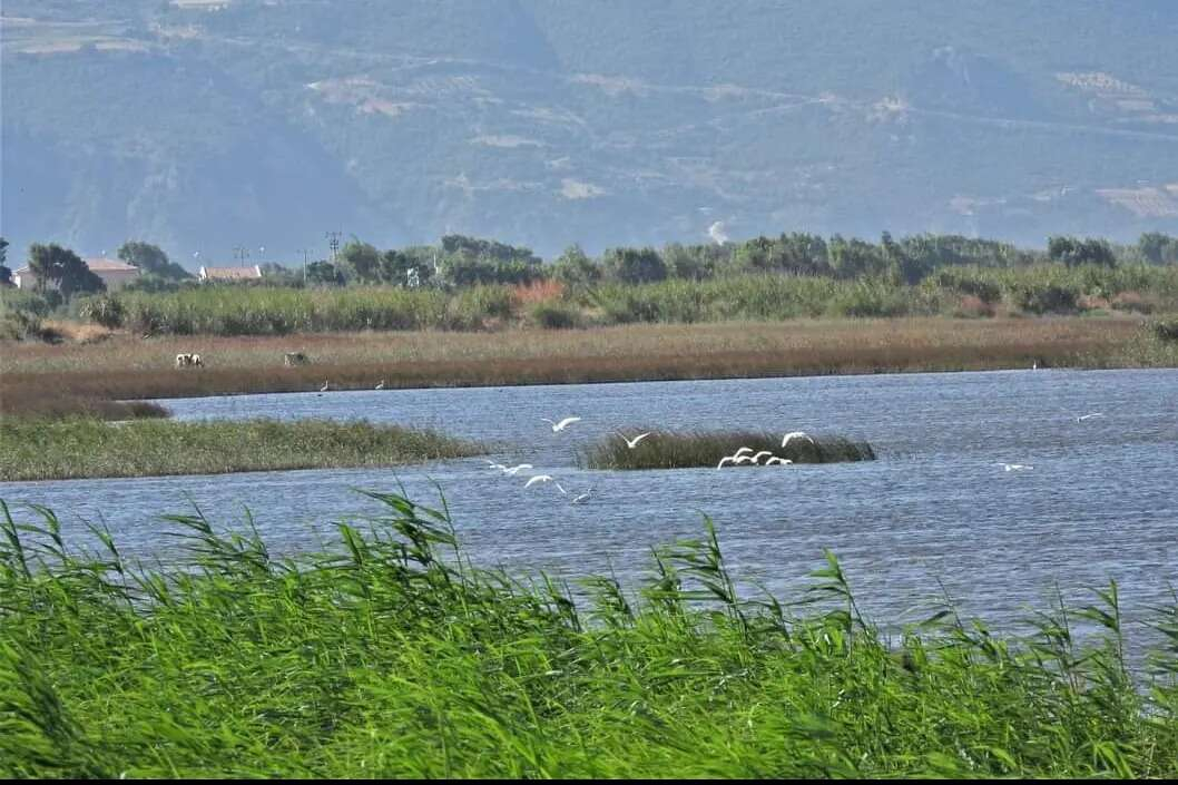 Milleyha Sulak Alanı2