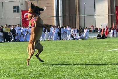 Jandarma köpeği Nefes, becerileriyle izleyenlerden tam not aldı