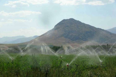 47 milyon 185 bin lira tarımsal destekleme ödemesi bugün çiftçilerin hesabına aktarılacak