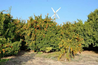 Depremzede Hatay çiftçisi, tüccar desteği bekliyor