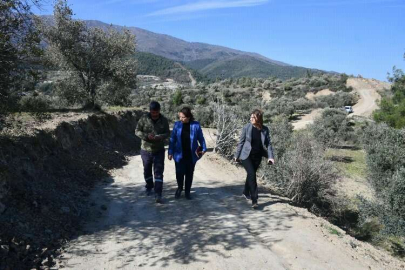 Hatay'da tarım arazilerinin kamulaştırılmasına 'yürütmeyi durdurma' kararı