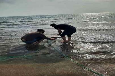 Kaçak ağa takılan deniz kaplumbağası kurtarıldı