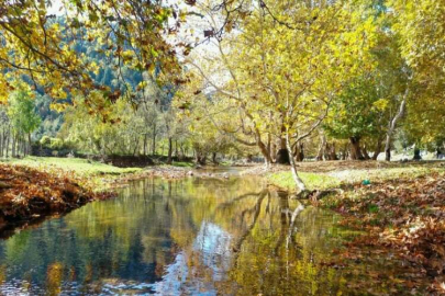 Andırın yaylalarında sonbahar renkleri hakim oldu