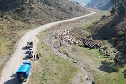 Konargöçerlerin kış öncesi zorlu göçü başladı